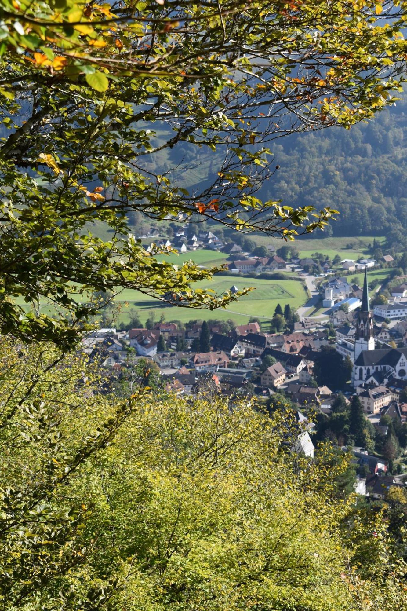 Gartenferienhaus "Annaluise" Schönau im Schwarzwald Kültér fotó