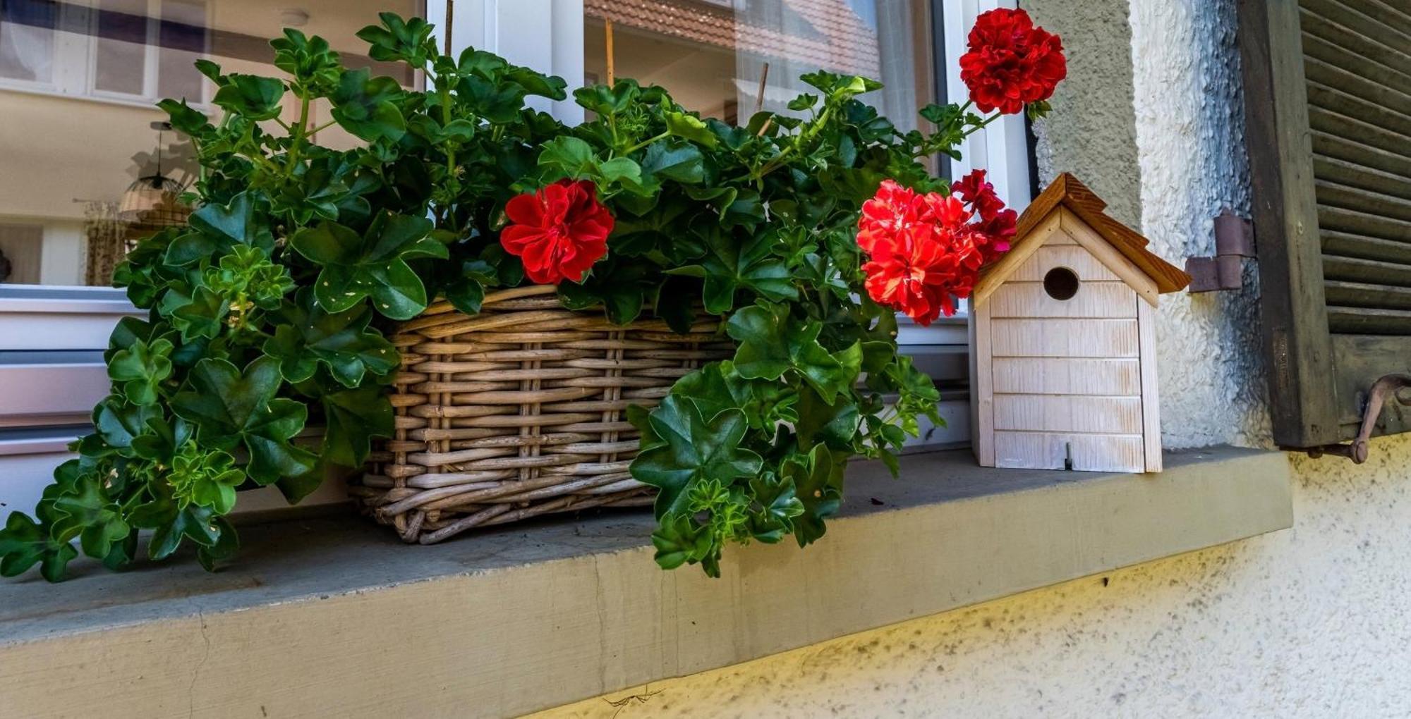 Gartenferienhaus "Annaluise" Schönau im Schwarzwald Kültér fotó