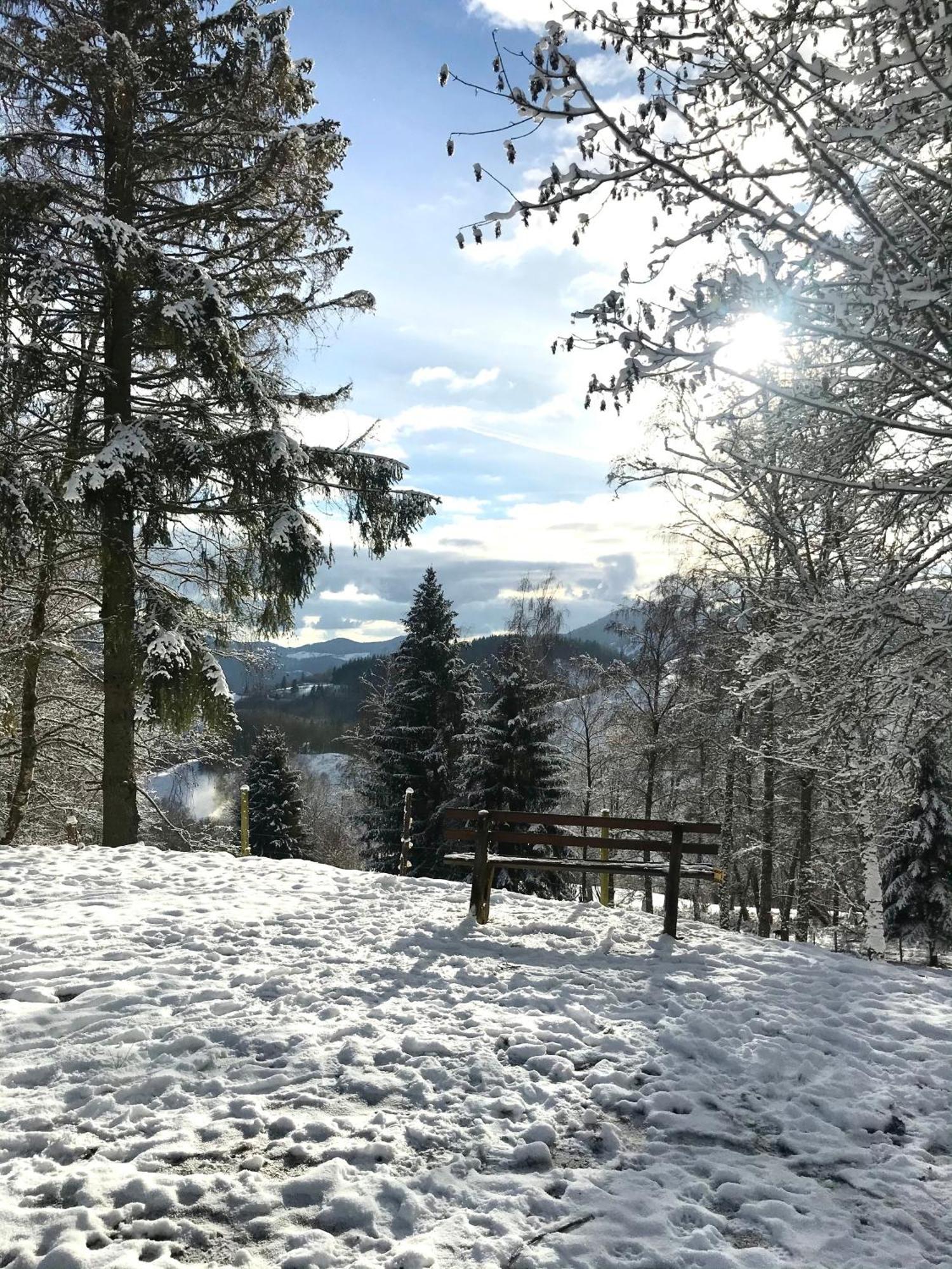 Gartenferienhaus "Annaluise" Schönau im Schwarzwald Kültér fotó